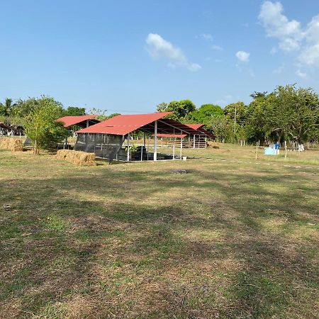 Hotel - Granja De Animales San Basilio De Palenque San Basilio del Palenque 외부 사진