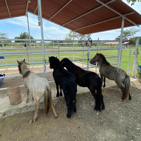 Hotel - Granja De Animales San Basilio De Palenque San Basilio del Palenque 외부 사진
