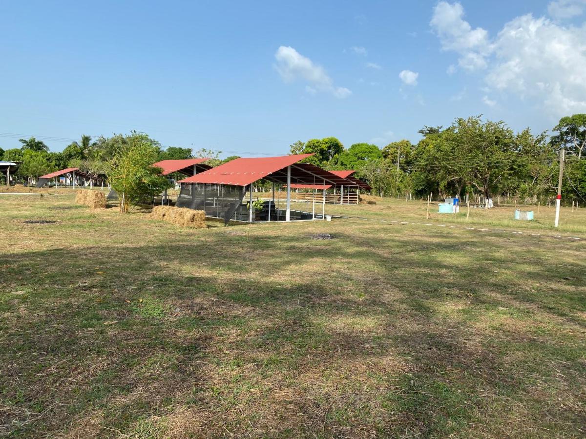 Hotel - Granja De Animales San Basilio De Palenque San Basilio del Palenque 외부 사진