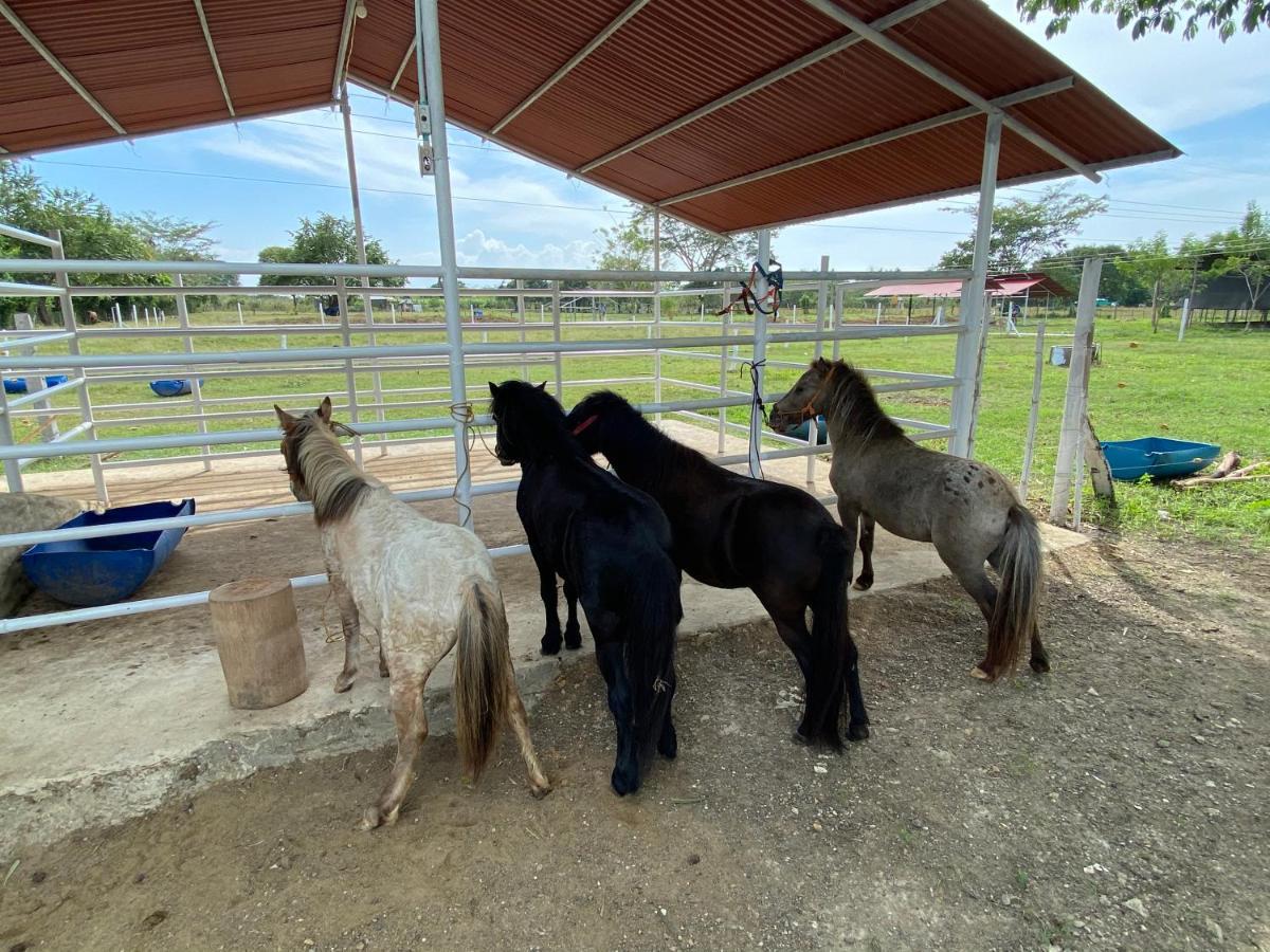 Hotel - Granja De Animales San Basilio De Palenque San Basilio del Palenque 외부 사진