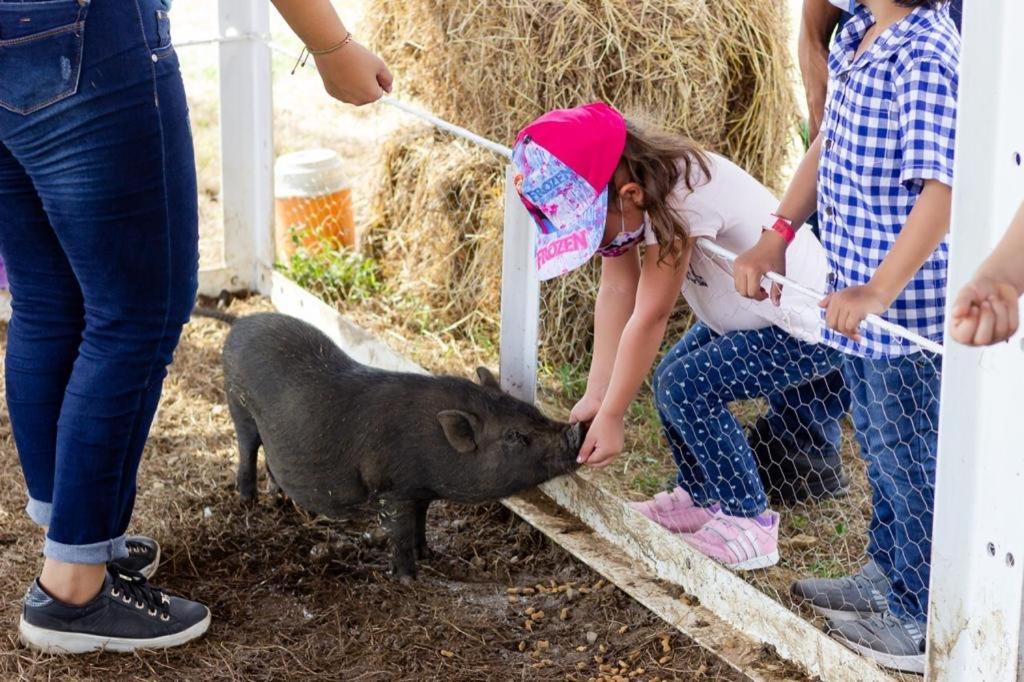 Hotel - Granja De Animales San Basilio De Palenque San Basilio del Palenque 외부 사진