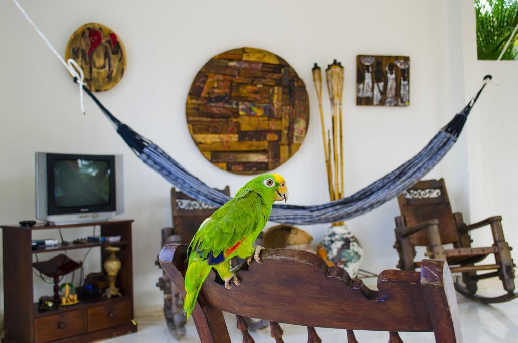 Hotel - Granja De Animales San Basilio De Palenque San Basilio del Palenque 외부 사진