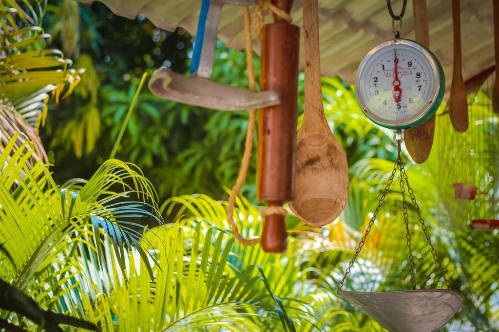 Hotel - Granja De Animales San Basilio De Palenque San Basilio del Palenque 외부 사진
